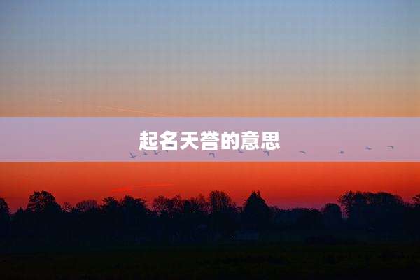 起名天誉的意思