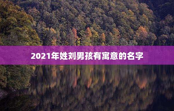 2021年姓刘男孩有寓意的名字