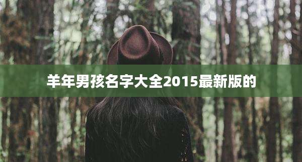 羊年男孩名字大全2015最新版的