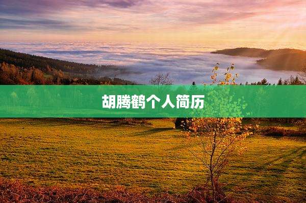 胡腾鹤个人简历