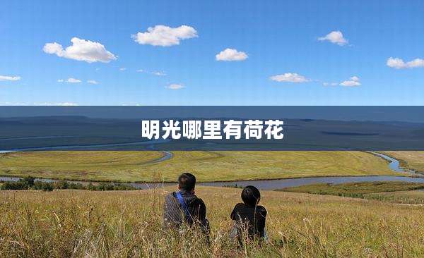 明光哪里有荷花