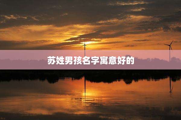 苏姓男孩名字寓意好的