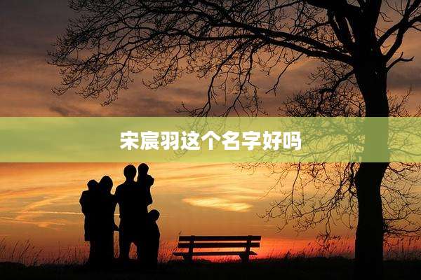 宋宸羽这个名字好吗