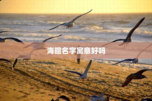 海暄名字寓意好吗