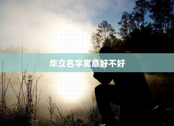 华立名字寓意好不好