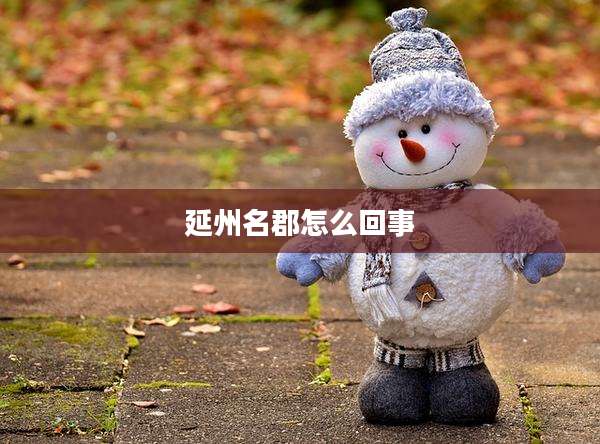 延州名郡怎么回事