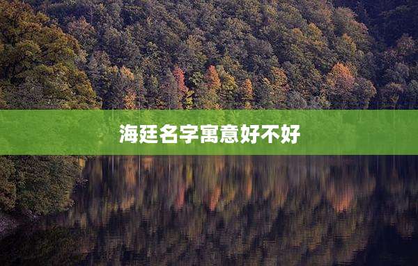 海廷名字寓意好不好