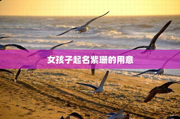 女孩子起名紫珊的用意