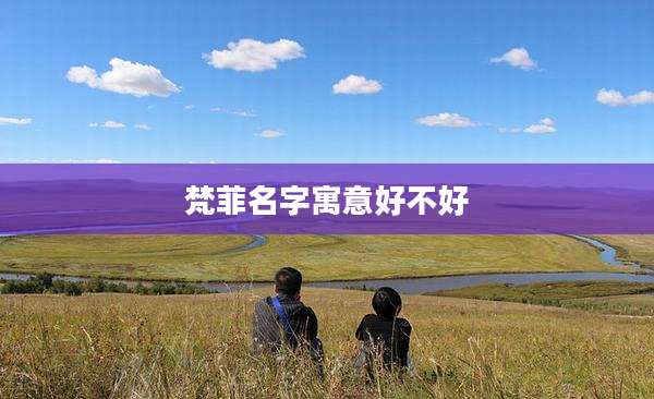 梵菲名字寓意好不好