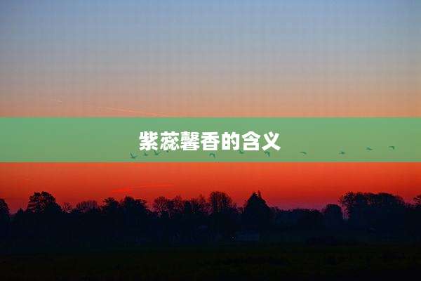 紫蕊馨香的含义