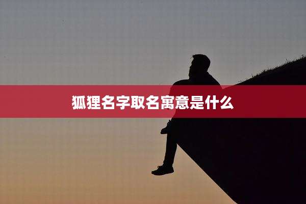 狐狸名字取名寓意是什么