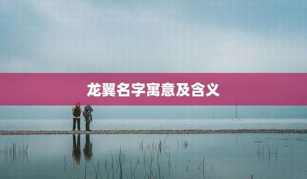 龙翼名字寓意及含义