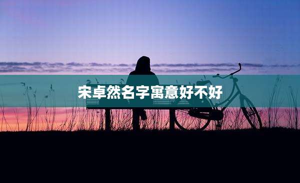 宋卓然名字寓意好不好