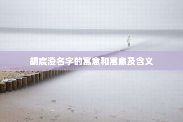 胡宸澄名字的寓意和寓意及含义