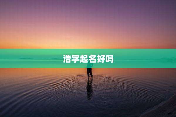 浩字起名好吗