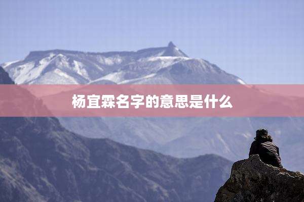 杨宜霖名字的意思是什么
