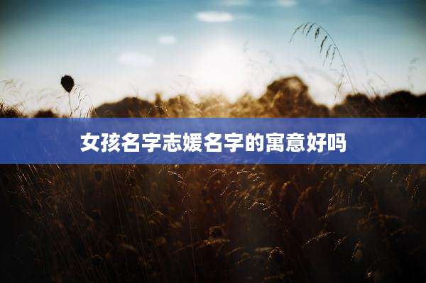 女孩名字志媛名字的寓意好吗