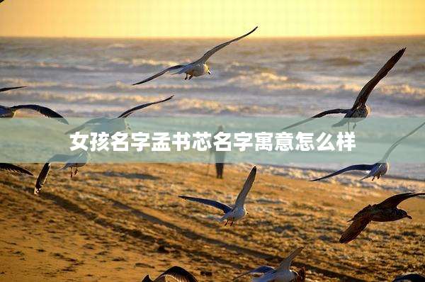 女孩名字孟书芯名字寓意怎么样