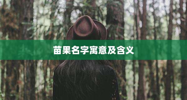 苗果名字寓意及含义