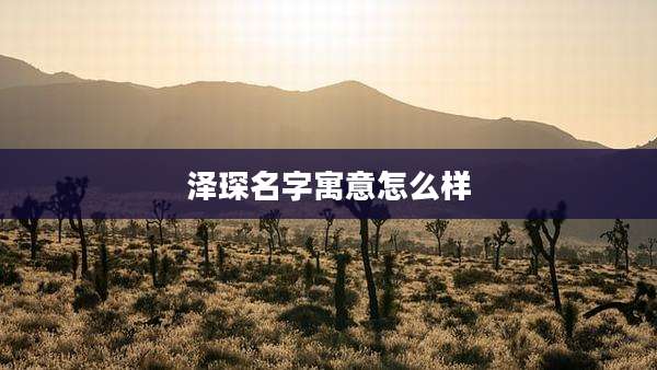 泽琛名字寓意怎么样