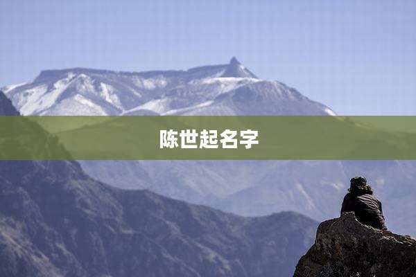 陈世起名字