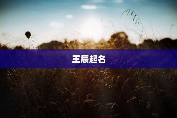 王辰起名