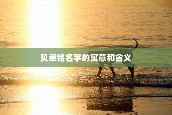 贝聿铭名字的寓意和含义