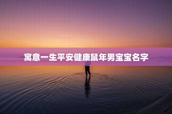 寓意一生平安健康鼠年男宝宝名字