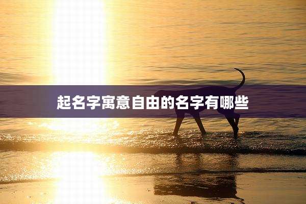 起名字寓意自由的名字有哪些