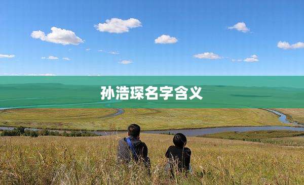 孙浩琛名字含义