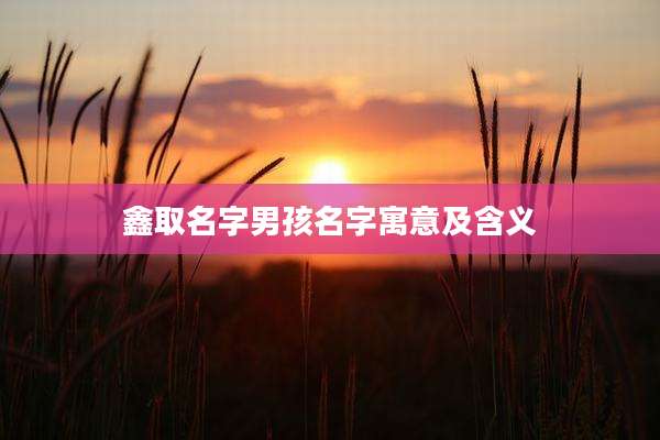 鑫取名字男孩名字寓意及含义