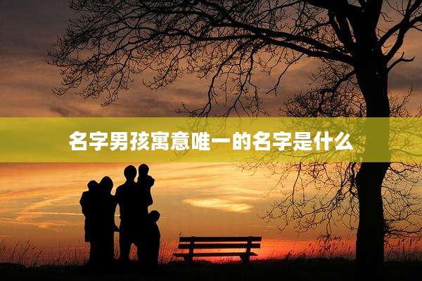 名字男孩寓意唯一的名字是什么
