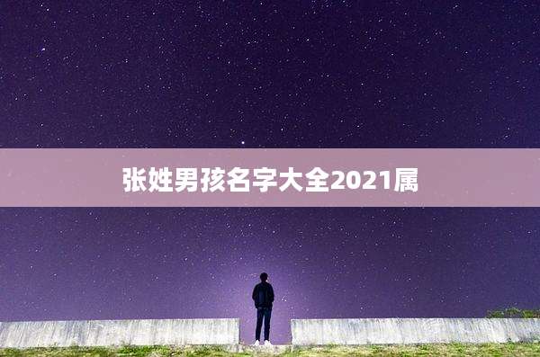 张姓男孩名字大全2021属