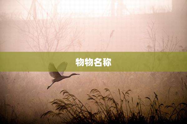 物物名称