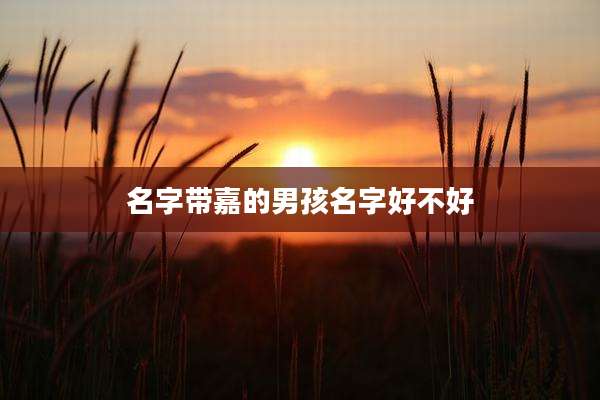 名字带嘉的男孩名字好不好