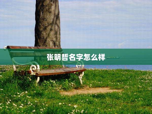张明哲名字怎么样