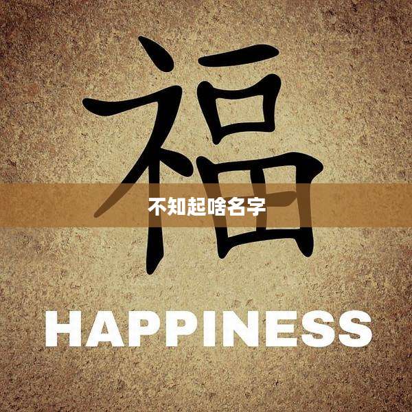 不知起啥名字