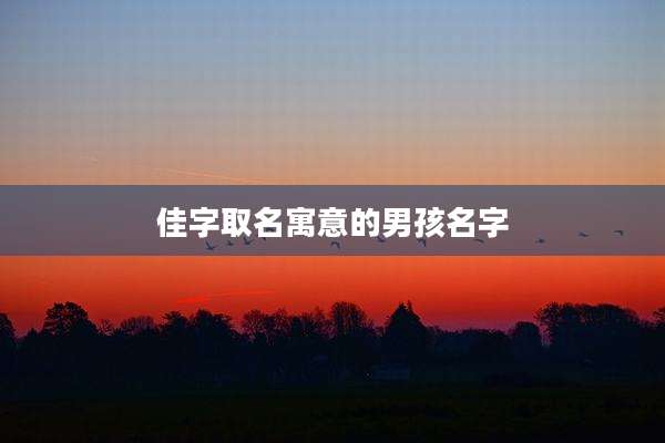 佳字取名寓意的男孩名字