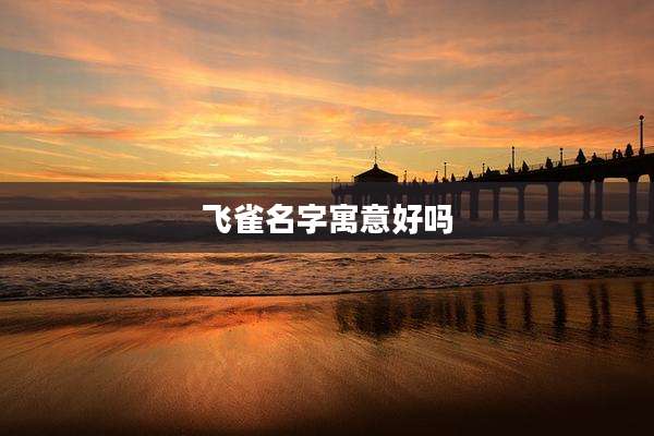 飞雀名字寓意好吗