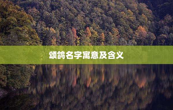 颂鸽名字寓意及含义