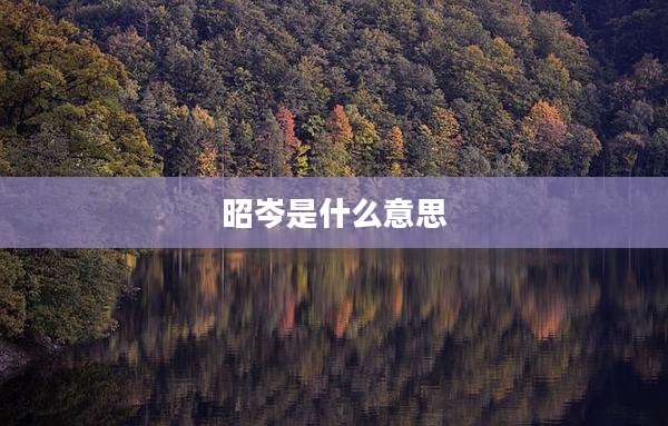 昭岑是什么意思