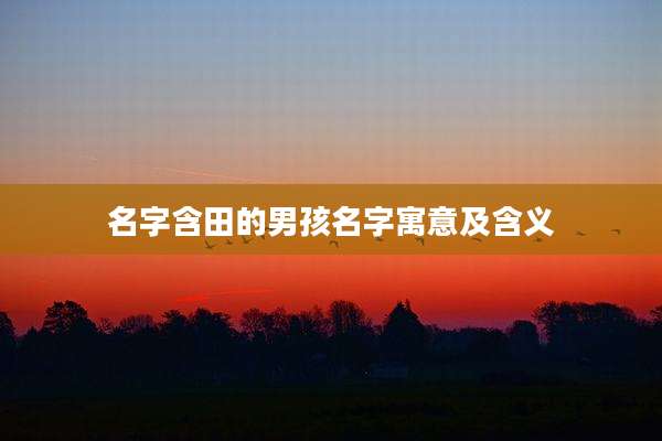 名字含田的男孩名字寓意及含义