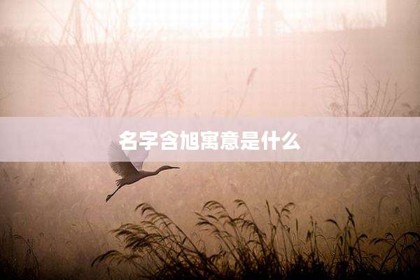 名字含旭寓意是什么