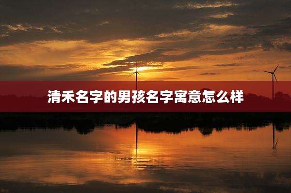 清禾名字的男孩名字寓意怎么样