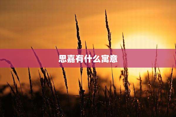 思嘉有什么寓意