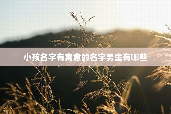 小孩名字有寓意的名字男生有哪些