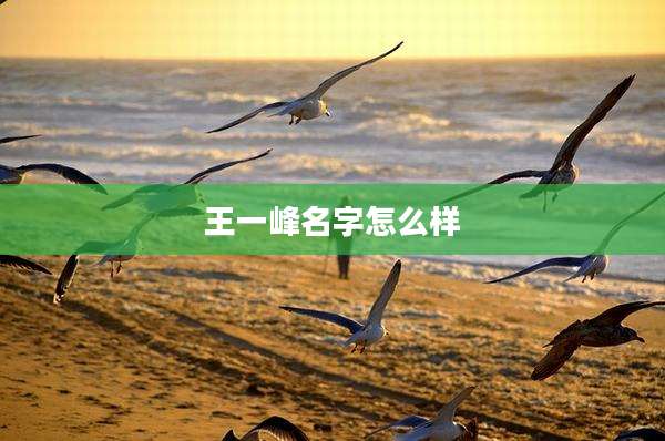 王一峰名字怎么样