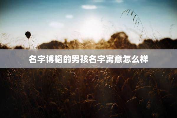 名字博韬的男孩名字寓意怎么样