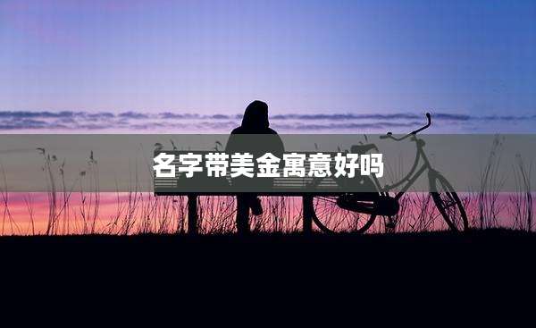 名字带美金寓意好吗