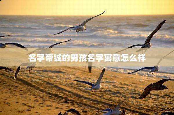 名字带铖的男孩名字寓意怎么样